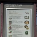 솥바위소고기국밥 이미지