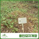 산지기장묘개발 | 용인묘지개장 기흥구 보정동 도시개발 보상지역 작업