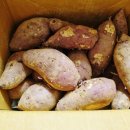 안면도농산 이미지