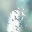 별밤지기 이미지