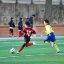 합성초등학교 이미지