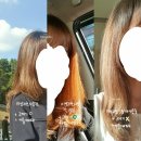 극손상모 관리, 탈색모, 반곱슬머리 관리법(실제 경험, 내돈내산!! 헤어제품 추천)