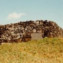 협자연대 이미지