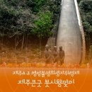 제주큰굿 | 4.3 희생자를 위한 제주큰굿 붓시왕맞이 후기