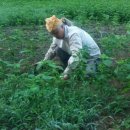 구천농장 이미지