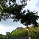운용사 석조여래좌상雲龍寺 石彫如來坐像 | 양주 천보산 - 5) 삼화상(三和尙)을 기리는 회암사(檜巖寺)