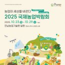 국제 이미지