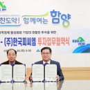 피씨엠 이미지