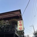 비염 뻥 뚫리는 칼칼한 동태탕 구리 시골식당 (사당역 맛집, 남현동)