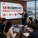 에스케이에코플랜트㈜ | SK에코플랜트 IPO 새 변수｜중복상장 가이드라인과 3%룰 쉽게 정리