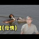 모정 이미지