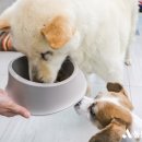 두원실업(주) 이미지