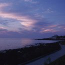 그여름애월바다 이미지