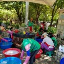 본리어린이공원 소 이미지