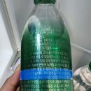 몽베스트 탄산수플레인 스파클링 워터 후기