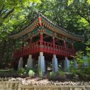 양산 찬성산 홍룡사 한바퀴 이미지