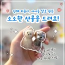 (주)스타몽 이미지