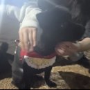 풍경운동장 화장실 이미지