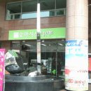 오아시 Daum카페