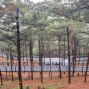 매봉산 유아숲체험원 이미지