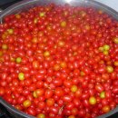 샘터어린이집 이미지