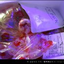 성경유통 이미지