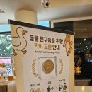 아기양보러 마이애니멀스토리 평강랜드 가기 연휴 나들이