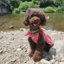 달빛관광농원펜션 이미지