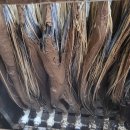 에스제이물류(주) 이미지