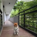 고븐달 제주 | 우도 힐링에서 전기차로 우도한바퀴🛺 그리고 스릴 넘치는 비양도 동굴투어 후기🚤