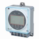 일출전자 이미지