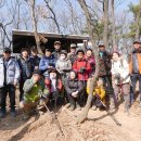 서현중앙길 이미지