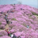(주)새람 Daum카페