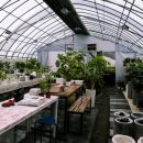 한숲농장 이미지