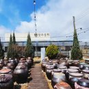 김포카페 장수상회 - 유기농 피자만들기, 다육이체험