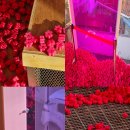 🎈 일산 비비하우스 솔직 후기 – 예쁜데 위험한 곳!