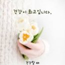 진황도로 61길 이미지