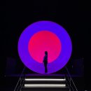 [공지] 강릉 가볼만한 곳 아르떼뮤지엄 주말 관람 후기 국가유산 미디어아트