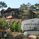 용봉산 자연휴양림 미디어투데이
