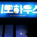 니모하우스