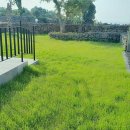 선샤인애월 이미지