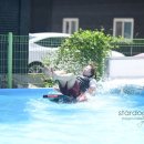 스타독스 이미지