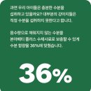 강아지 수제사료 기능성 수제 스타일 타입
