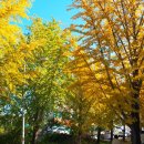 공주교도소부속의원 이미지