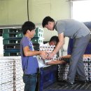 김영식농장 이미지