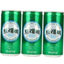 트레비