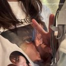 한빈 | [250904] 월드넘버케이팝최고의햄씨_캣한빈 (부제:나..멍캣 못 보내 ...)
