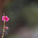 강경-7 이미지