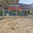 항도병설유치원 이미지