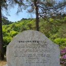 산소길(파도소리풍경길) | 홍천 수타사 산소길 환상의 트레킹 후기